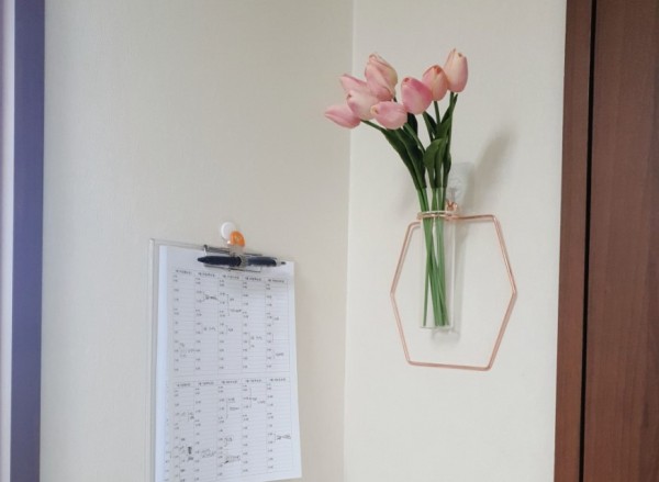 01127fa55238eba464dd47ddedf748c6_1774788454_255.jpg 01127fa55238eba464dd47ddedf748c6_1774788454_255.jpg